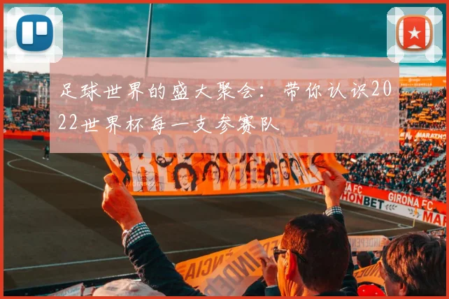 足球世界的盛大聚会：带你认识2022世界杯每一支参赛队